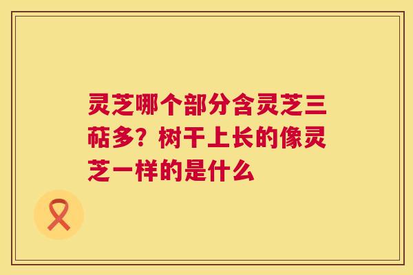 灵芝哪个部分含灵芝三萜多？树干上长的像灵芝一样的是什么