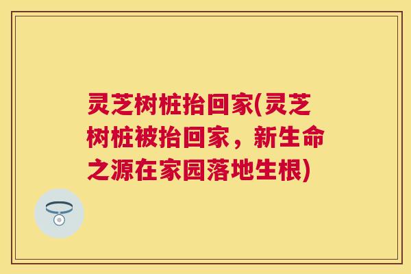 灵芝树桩抬回家(灵芝树桩被抬回家，新生命之源在家园落地生根)