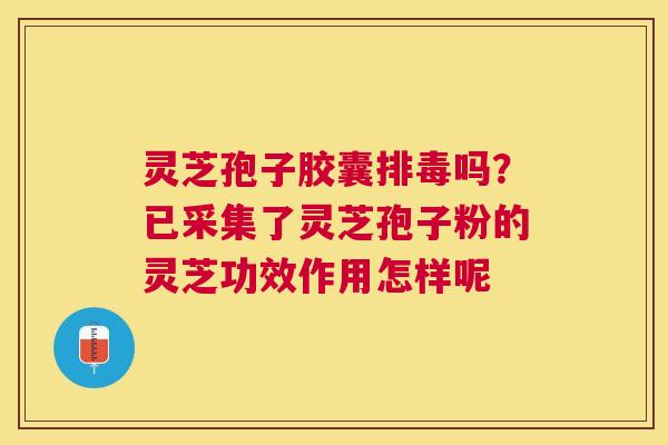 灵芝孢子胶囊吗？已采集了灵芝孢子粉的灵芝功效作用怎样呢