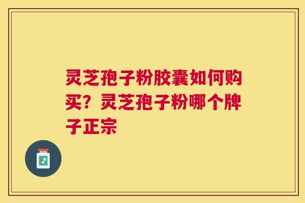 灵芝孢子粉胶囊如何购买？灵芝孢子粉哪个牌子正宗