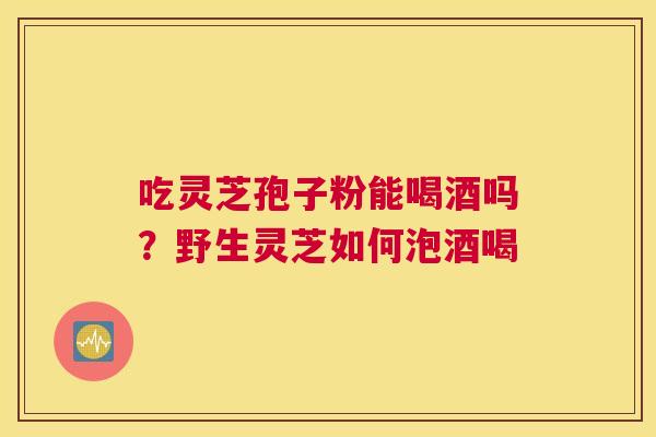 吃灵芝孢子粉能喝酒吗？野生灵芝如何泡酒喝