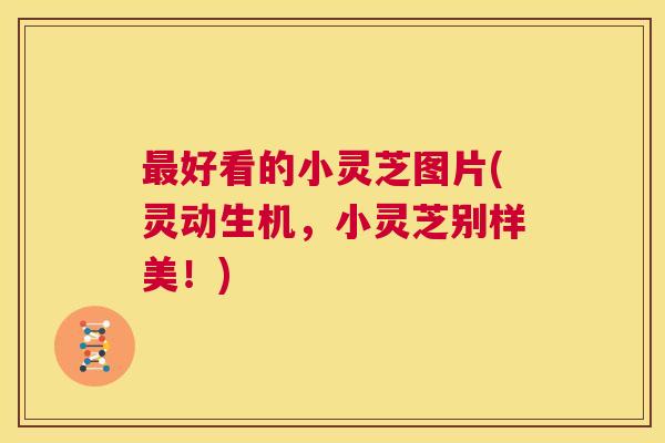 好看的小灵芝图片(灵动生机，小灵芝别样美！)