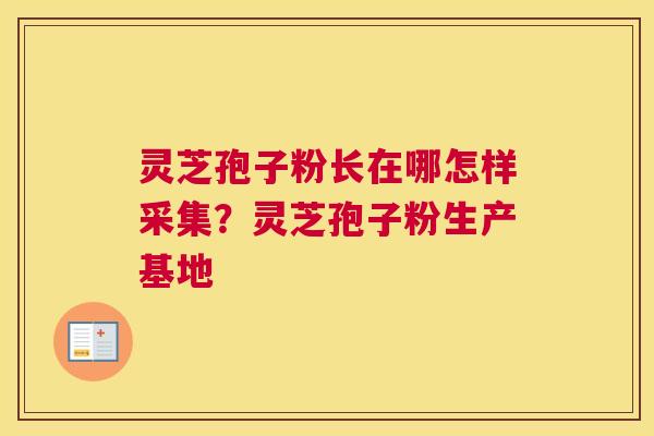 灵芝孢子粉长在哪怎样采集？灵芝孢子粉生产基地