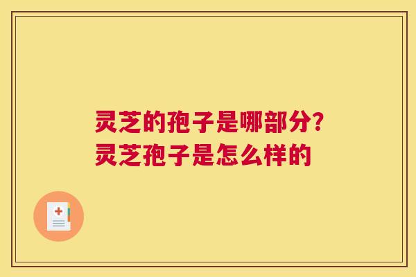 灵芝的孢子是哪部分？灵芝孢子是怎么样的