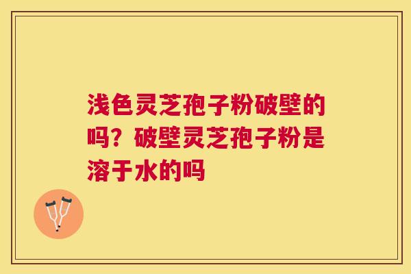 浅色灵芝孢子粉破壁的吗？破壁灵芝孢子粉是溶于水的吗