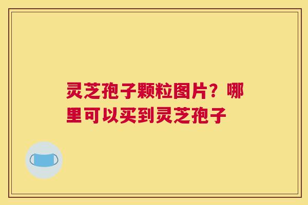 灵芝孢子颗粒图片？哪里可以买到灵芝孢子