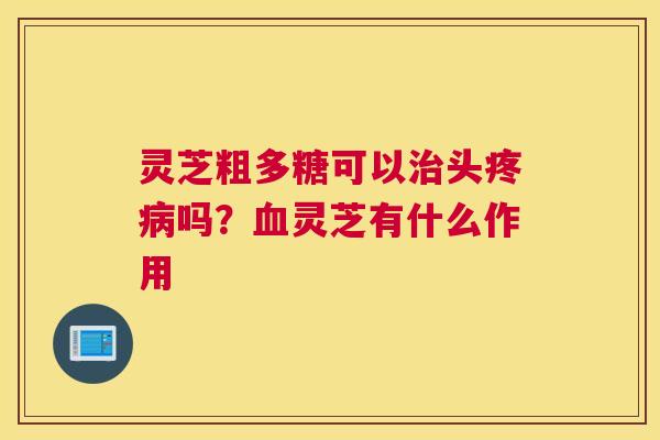 灵芝粗多糖可以头疼吗？灵芝有什么作用