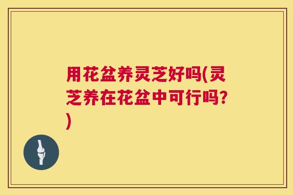 用花盆养灵芝好吗(灵芝养在花盆中可行吗？)
