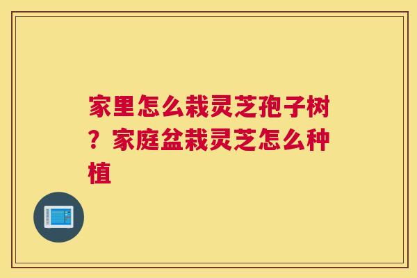 家里怎么栽灵芝孢子树？家庭盆栽灵芝怎么种植