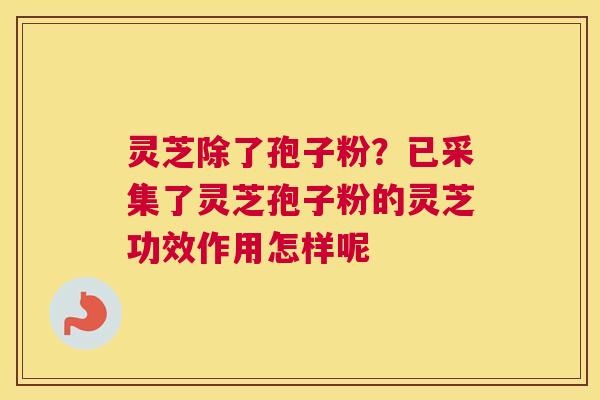 灵芝除了孢子粉？已采集了灵芝孢子粉的灵芝功效作用怎样呢