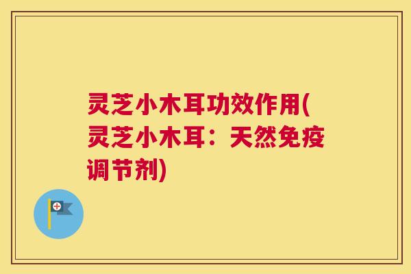 灵芝小木耳功效作用(灵芝小木耳：天然免疫调节剂)