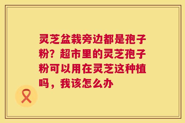 灵芝盆栽旁边都是孢子粉？超市里的灵芝孢子粉可以用在灵芝这种植吗，我该怎么办