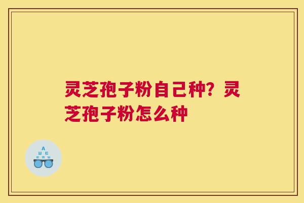 灵芝孢子粉自己种？灵芝孢子粉怎么种