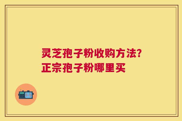 灵芝孢子粉收购方法？正宗孢子粉哪里买
