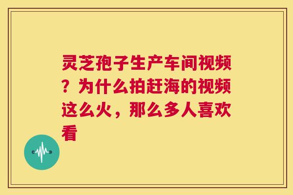 灵芝孢子生产车间视频？为什么拍赶海的视频这么火，那么多人喜欢看