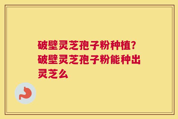 破壁灵芝孢子粉种植？破壁灵芝孢子粉能种出灵芝么