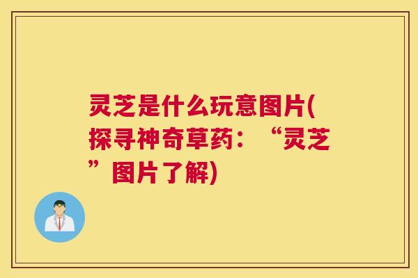 灵芝是什么玩意图片(探寻神奇草药：“灵芝”图片了解)