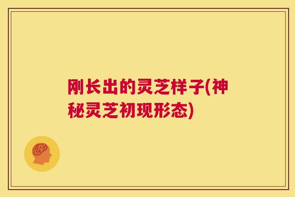 刚长出的灵芝样子(神秘灵芝初现形态)