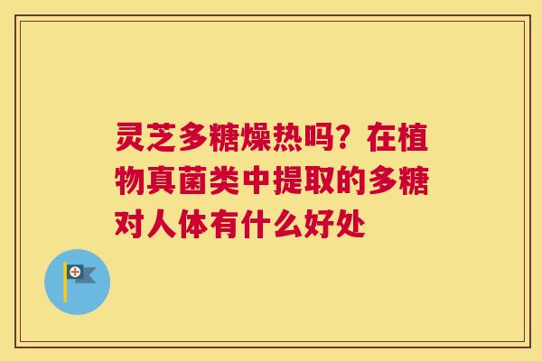 灵芝多糖燥热吗？在植物真菌类中提取的多糖对人体有什么好处