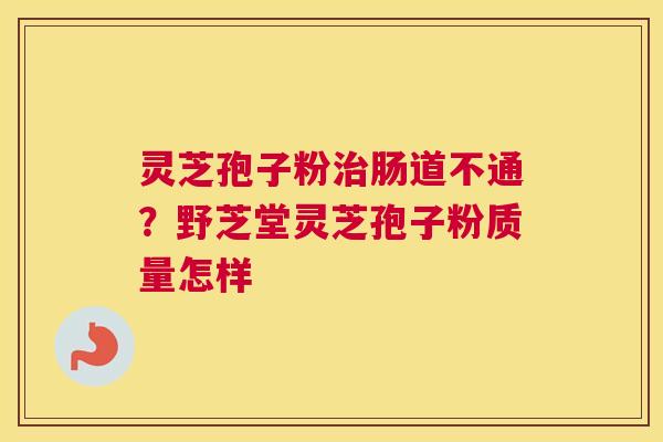 灵芝孢子粉肠道不通？野芝堂灵芝孢子粉质量怎样
