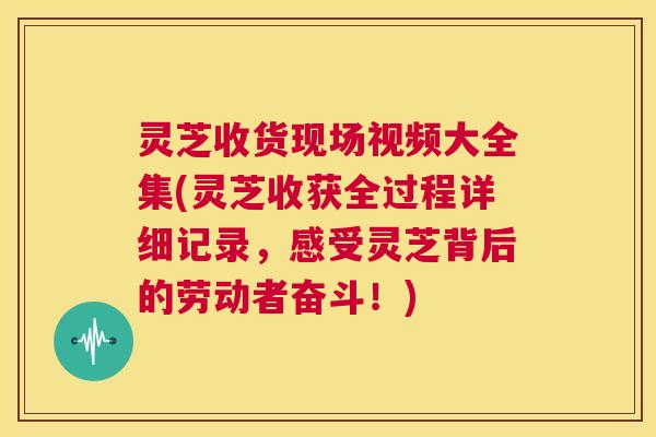 灵芝收货现场视频大全集(灵芝收获全过程详细记录，感受灵芝背后的劳动者奋斗！)