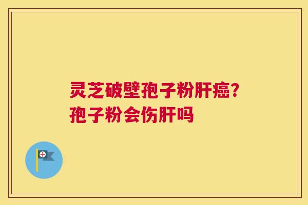 灵芝破壁孢子粉？孢子粉会伤吗