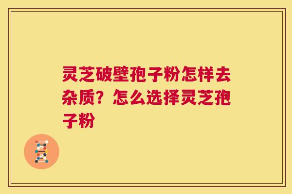 灵芝破壁孢子粉怎样去杂质？怎么选择灵芝孢子粉