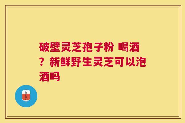 破壁灵芝孢子粉 喝酒？新鲜野生灵芝可以泡酒吗