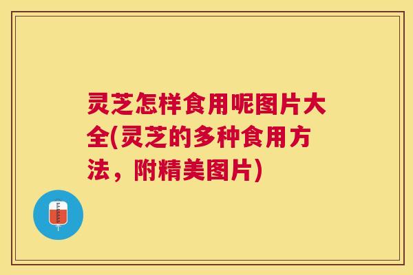 灵芝怎样食用呢图片大全(灵芝的多种食用方法，附精美图片)