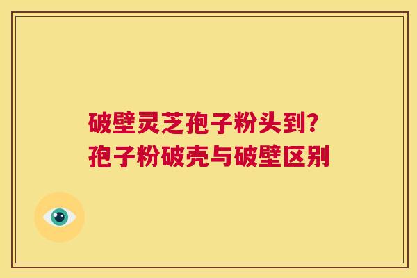 破壁灵芝孢子粉头到？孢子粉破壳与破壁区别