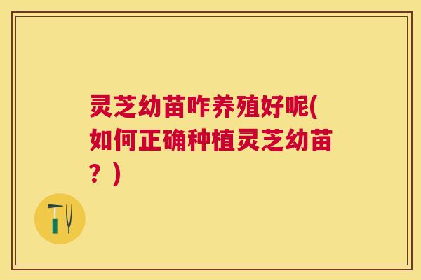灵芝幼苗咋养殖好呢(如何正确种植灵芝幼苗？)