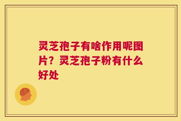 灵芝孢子有啥作用呢图片？灵芝孢子粉有什么好处
