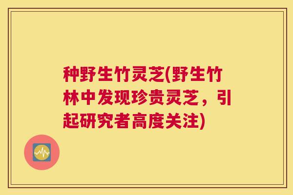 种野生竹灵芝(野生竹林中发现珍贵灵芝，引起研究者高度关注)