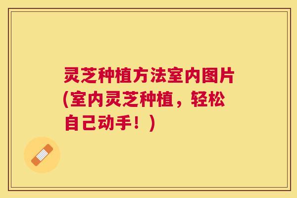 灵芝种植方法室内图片(室内灵芝种植，轻松自己动手！)