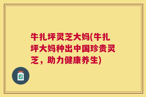 牛扎坪灵芝大妈(牛扎坪大妈种出中国珍贵灵芝，助力健康养生)