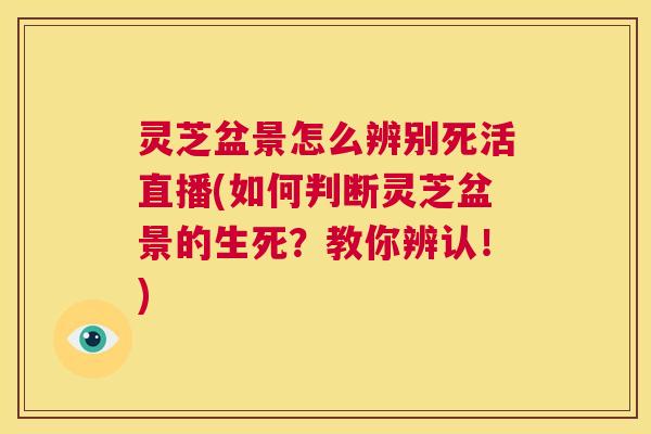 灵芝盆景怎么辨别死活直播(如何判断灵芝盆景的生死？教你辨认！)