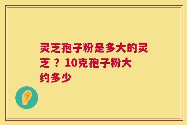 灵芝孢子粉是多大的灵芝 ？10克孢子粉大约多少