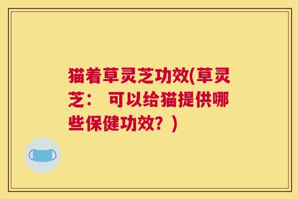 猫着草灵芝功效(草灵芝： 可以给猫提供哪些保健功效？)