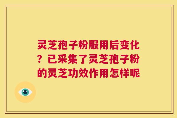 灵芝孢子粉服用后变化？已采集了灵芝孢子粉的灵芝功效作用怎样呢