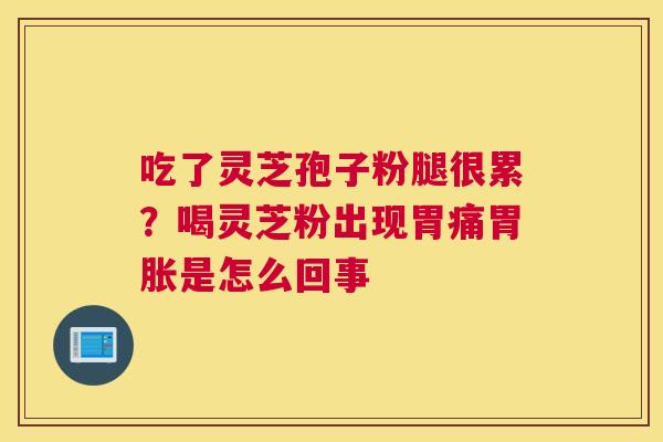 吃了灵芝孢子粉腿很累？喝灵芝粉出现胃痛胃胀是怎么回事
