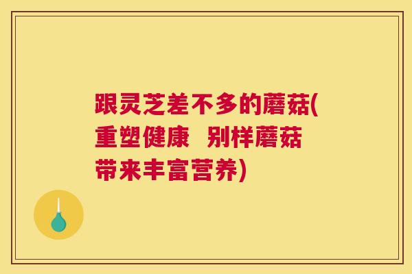 跟灵芝差不多的蘑菇(重塑健康  别样蘑菇带来丰富营养)