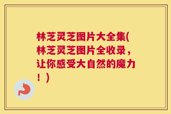 林芝灵芝图片大全集(林芝灵芝图片全收录，让你感受大自然的魔力！)