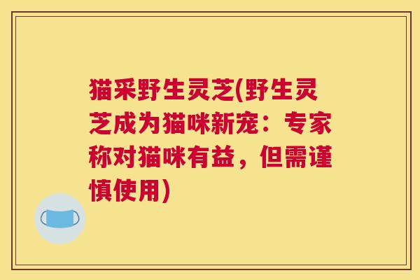 猫采野生灵芝(野生灵芝成为猫咪新宠：专家称对猫咪有益，但需谨慎使用)