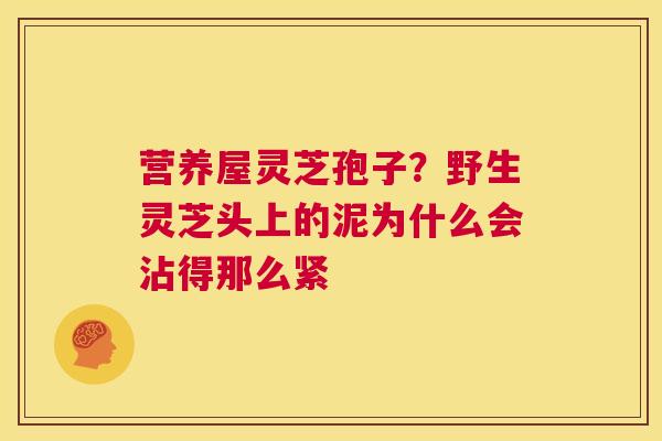营养屋灵芝孢子？野生灵芝头上的泥为什么会沾得那么紧