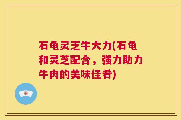 石龟灵芝牛大力(石龟和灵芝配合，强力助力牛肉的美味佳肴)