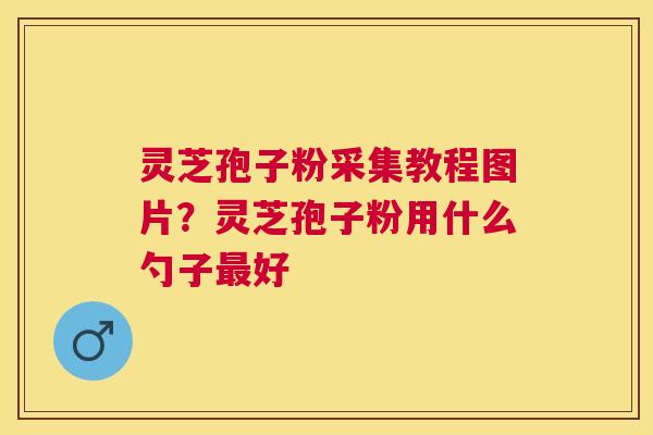 灵芝孢子粉采集教程图片？灵芝孢子粉用什么勺子好
