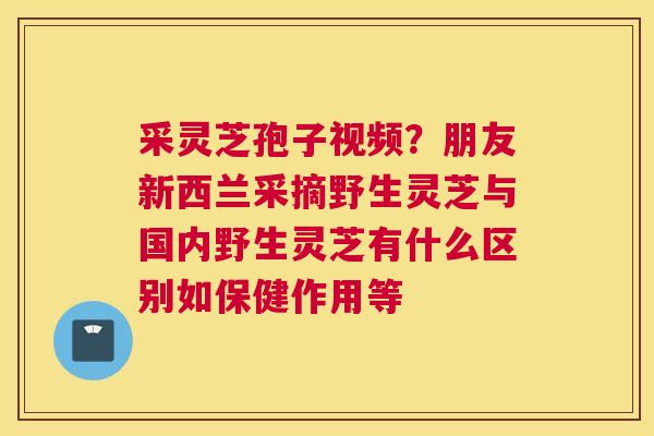 采灵芝孢子视频？朋友新西兰采摘野生灵芝与国内野生灵芝有什么区别如保健作用等