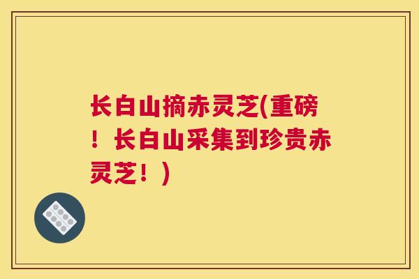 长白山摘赤灵芝(重磅！长白山采集到珍贵赤灵芝！)