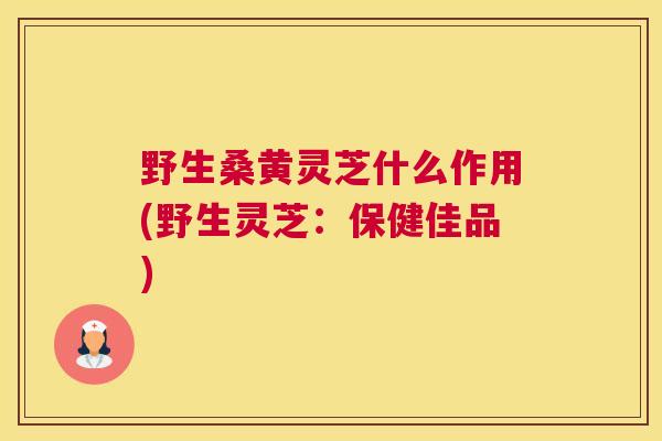野生桑黄灵芝什么作用(野生灵芝：保健佳品)