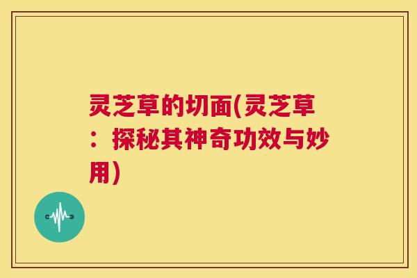 灵芝草的切面(灵芝草：探秘其神奇功效与妙用)